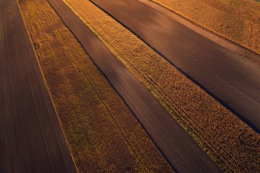 Tarım alanlarının havadan görünüşü
