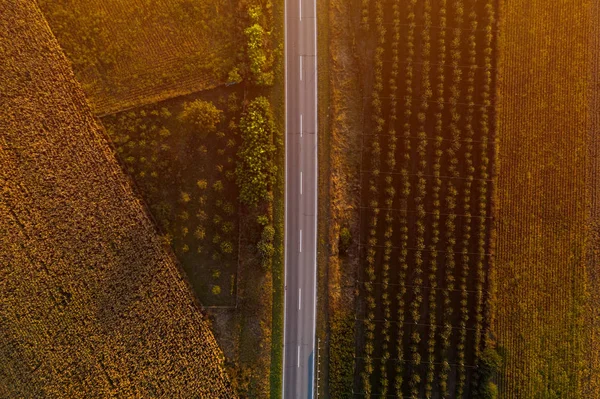 Empty road through countryside from drone pov — 스톡 사진