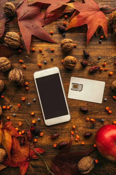 Мобильный телефон и SIM-карта с осенней конфигурацией — стоковое фото