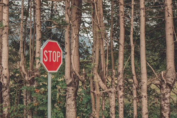 Stop panneau dans la campagne — Photo