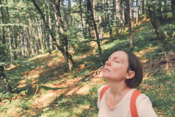 Kvinnlig vandrare som andas frisk luft i skogen — Stockfoto