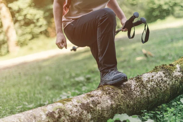 Senderismo trekking en bosques, enfoque selectivo —  Fotos de Stock