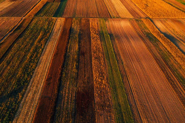 Красочный сельский пейзаж, культивируется сельское хозяйство — стоковое фото