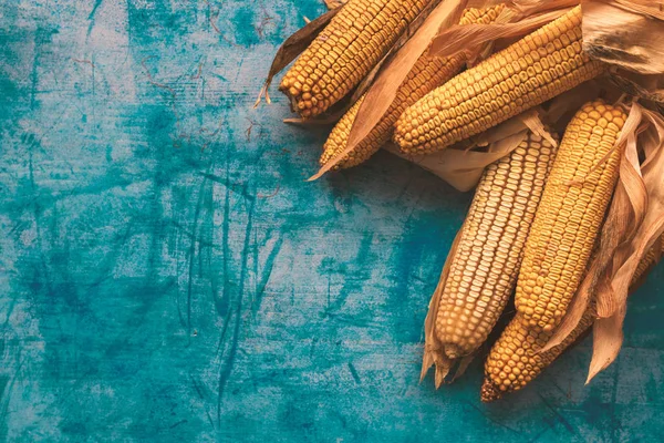 Geernteter Mais auf dem Kolben auf blauem Grunge-Hintergrund — Stockfoto