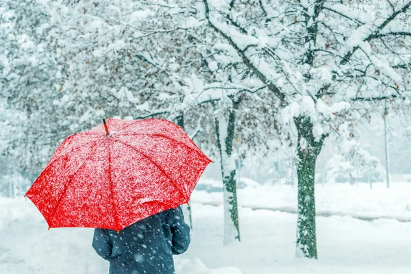 Женщина под красным зонтиком ходит по зимнему снегу — стоковое фото