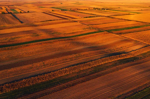 カラフルな田舎のパッチワークの背景、栽培農業 — ストック写真