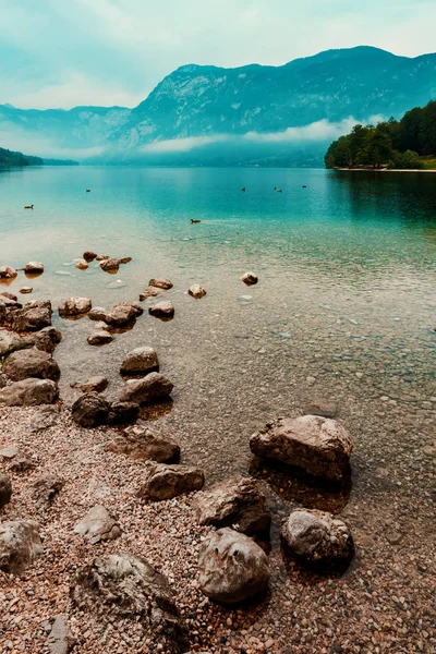 Bohinj Gölü - Slovenya, Avrupa 'da güzel bir tatil beldesi — Stok fotoğraf