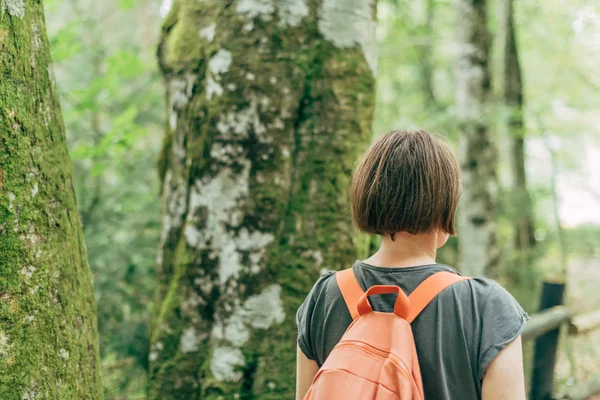 Senderista femenina caminando por sendero a través del bosque — Foto de Stock