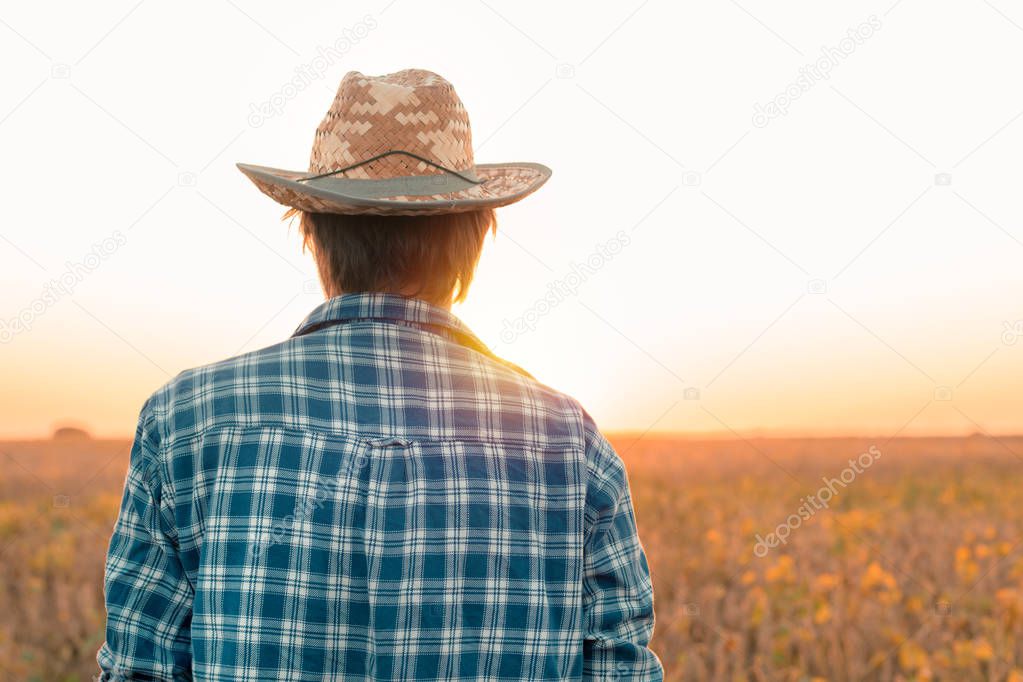 Rear view of soybean farmer looking at field