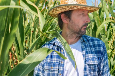 Ekili mısır tarlasında yakışıklı mısır çiftçisinin portresi