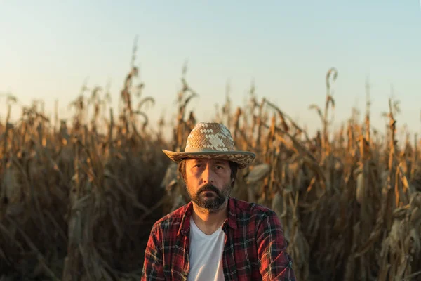 Olgun tarlada mısır çiftçisi portresi — Stok fotoğraf