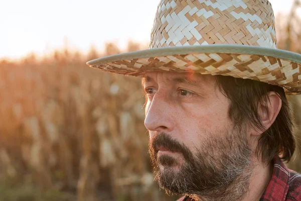 Pensativo agrónomo agricultor de maíz preocupado posando en cultivo de maíz — Foto de Stock