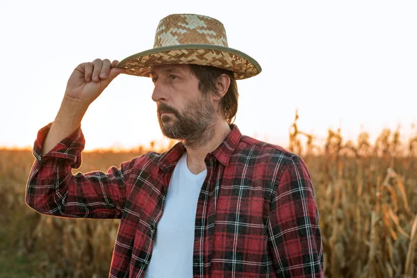 Pensativo agrónomo agricultor de maíz preocupado posando en cultivo de maíz — Foto de Stock