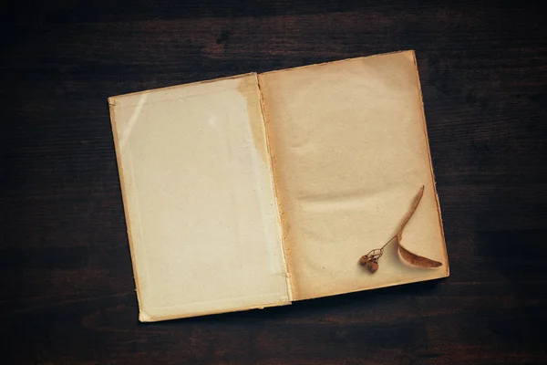 Vintage book blank pages mock up top view — Stock Photo, Image