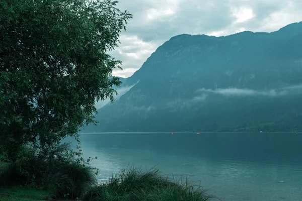 Koude zomermiddag aan het Bohinj meer, Slovenië — Stockfoto