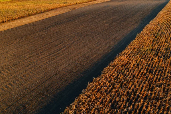 Vue aérienne des champs agricoles — Photo