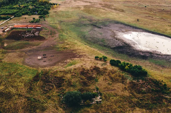 Vista aérea del prado lejano lácteo con estanque — Foto de Stock