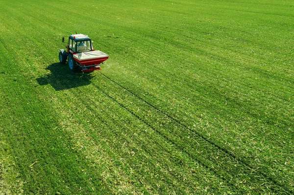 Γεωργικό τρακτέρ λίπανση σιτάρι το πεδίο των καλλιεργειών με άζωτο — Φωτογραφία Αρχείου