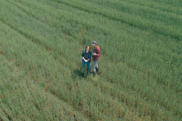 Banker Farmer Negotiating Bank Agriculture Loan Green Wheat Field Aerial — Stock Photo, Image