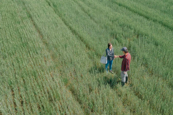 Banker Farmer Negotiating Bank Agriculture Loan Green Wheat Field Aerial — Stock Photo, Image