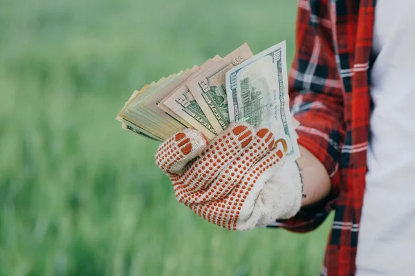 Agricultor Que Posee Billetes Dólares Dinero Campo Trigo Beneficio Agricultura — Foto de Stock