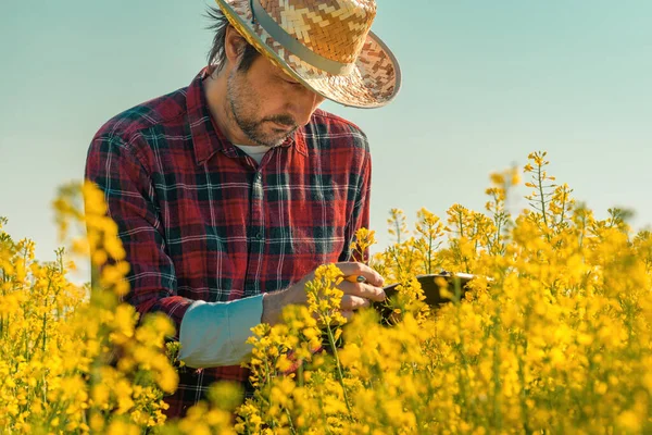 Yağ Tohumu Çiftçisi Çiçek Açan Tarlada Defterine Notlar Yazıyor Tarım — Stok fotoğraf