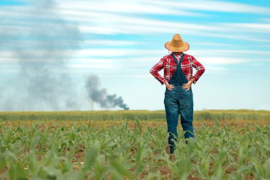 Concerned female farmer in corn field looking at black smoke on horizon, concept of insurance in agriculture and farming clipart