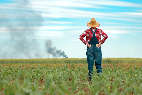 Mujeres Agricultoras Preocupadas Campo Maíz Mirando Humo Negro Horizonte Concepto —  Fotos de Stock