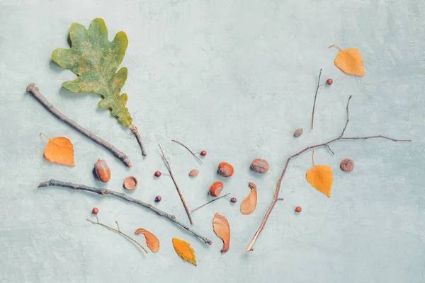 秋天平铺装饰顶视图与树叶和枝条 抽象最小的作文 复制空间包括 — 图库照片