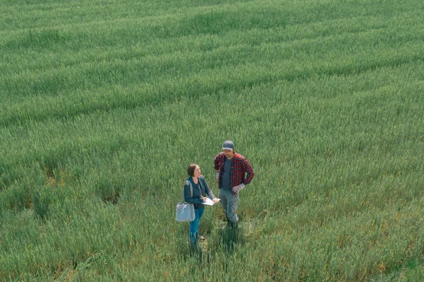 Banker Farmer Negotiating Bank Agriculture Loan Green Wheat Field Aerial — Stock Photo, Image