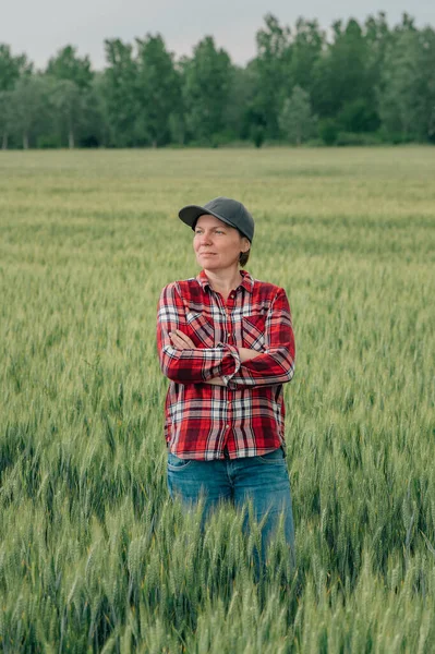 Självsäker Kvinnlig Bonde Agronomist Poserar Odlade Vete Gröda Jordbruksmark Tittar — Stockfoto