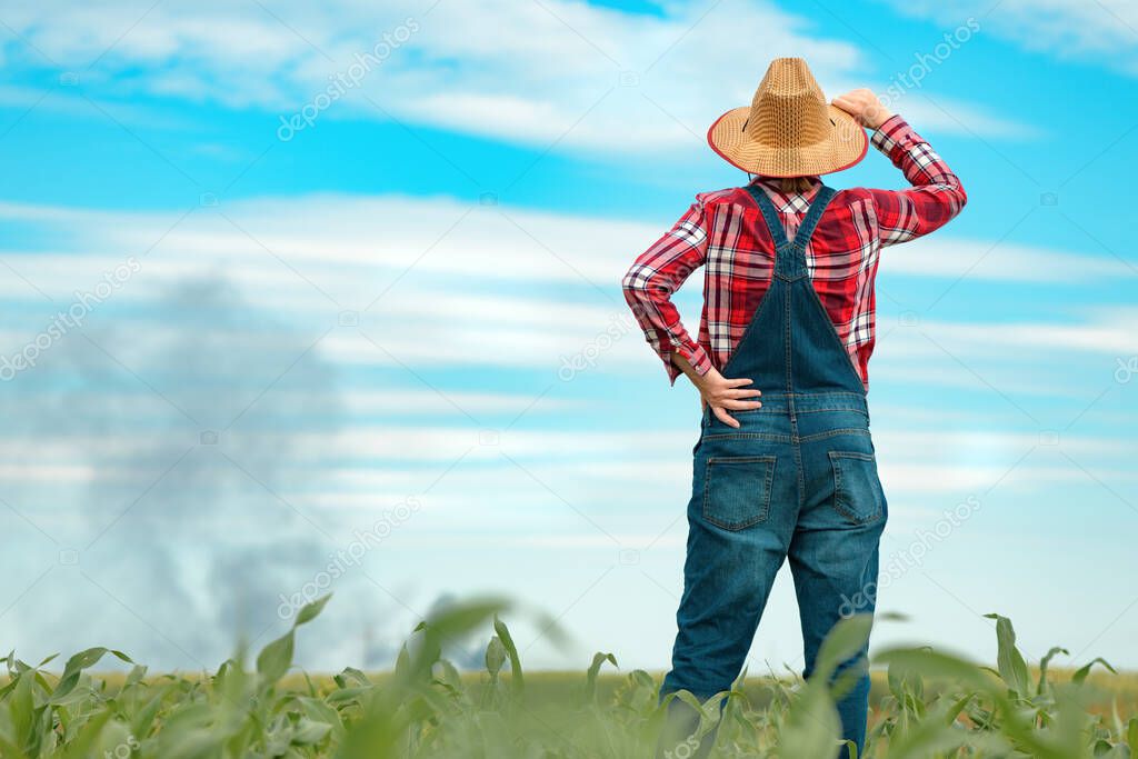 Concerned female farmer in corn field looking at black smoke on horizon, concept of insurance in agriculture and farming