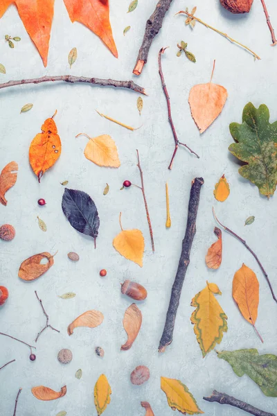 Hösten Säsong Platt Låg Dekoration Ovanifrån Blad Och Grenar — Stockfoto