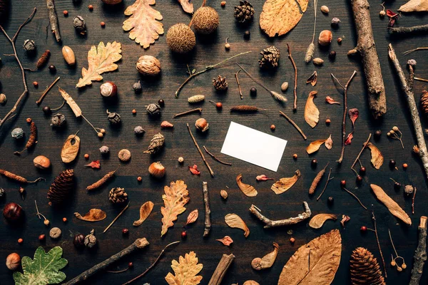 Leere Visitenkarten Attrappe Mit Herbstdekoration Flache Lageansicht Kopieren Raum Grafikdesign — Stockfoto