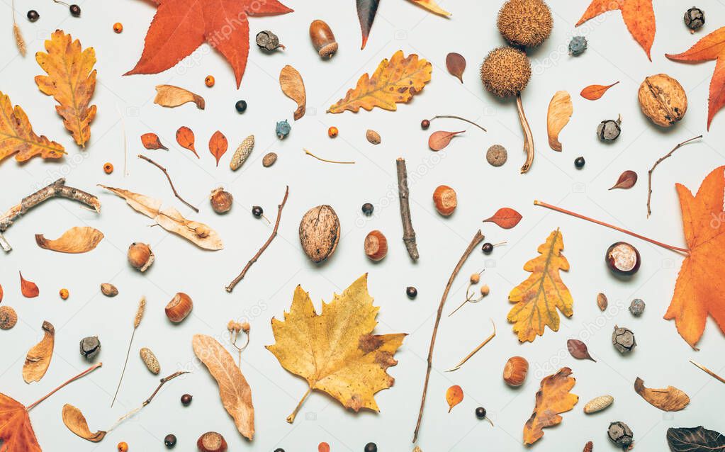 Flat lay autumn season decoration, top view of leaves and branches pattern for background