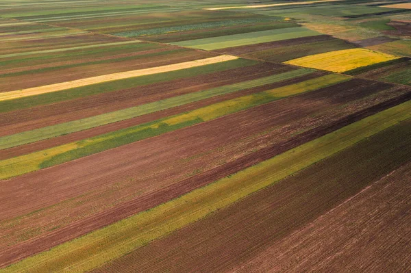 Εναέρια Άποψη Των Καλλιεργούμενων Πεδίων Drone Φωτογραφία Αφηρημένο Φυσικό Υπόβαθρο — Φωτογραφία Αρχείου