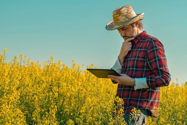 Coltivatore Semi Oleosi Che Utilizza Tablet Computer Campo Fiorito Concetto — Foto Stock