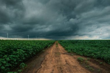 Tarımsal tarlalardan geçen kırsal toprak yol. Arkaplanda rüzgar türbinleri var. Kara bulutlu bulutlu bir öğleden sonra.