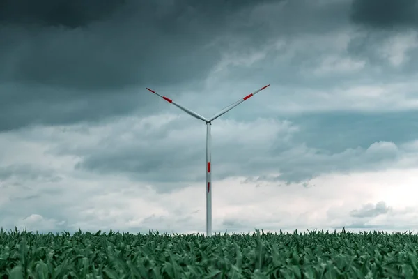 Conceito Energia Verde Com Turbinas Eólicas Campo Agrícola Cultivado Energias — Fotografia de Stock