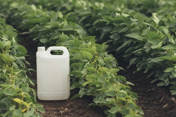 Konsep Perlindungan Tanaman Kedelai Dengan Botol Pestisida Generik Kosong Mengejek — Stok Foto