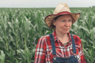Mısır tarlasında dikilen kadın çiftçinin portresi, mısır tarlasında çalışan kadın çiftçi.