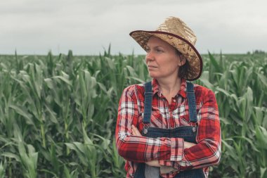 Portrait of female farmer standing in corn field, woman farm worker in maize plantation clipart