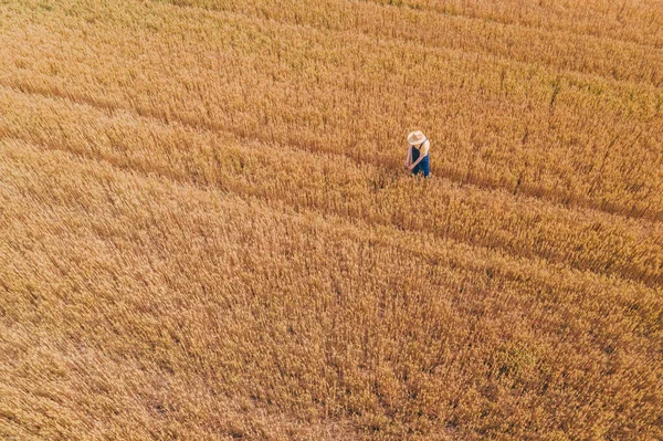 Αεροφωτογραφία Του Θηλυκού Αγρότη Που Εργάζεται Στο Ώριμο Πεδίο Καλλιέργειας — Φωτογραφία Αρχείου