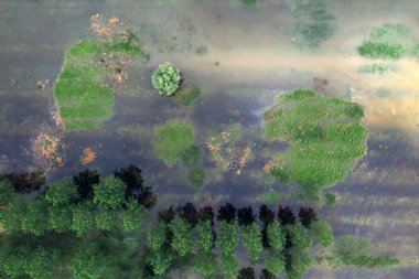 Dron pov 'dan taşrayı ve nehri su basmış. Sırbistan 'ın Voyvodina ilindeki Tamis Nehri.