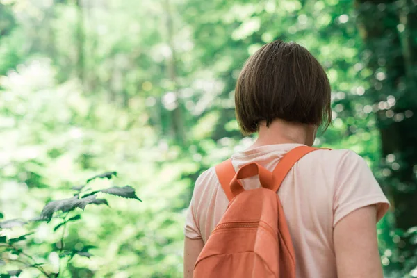 晴れた夏の日に森の中を歩く女性ハイカーの背面ビュー 選択的フォーカス — ストック写真