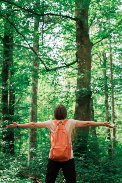 Caminhante Feminino Com Mãos Largas Floresta Visão Traseira Mulher Desfrutando — Fotografia de Stock