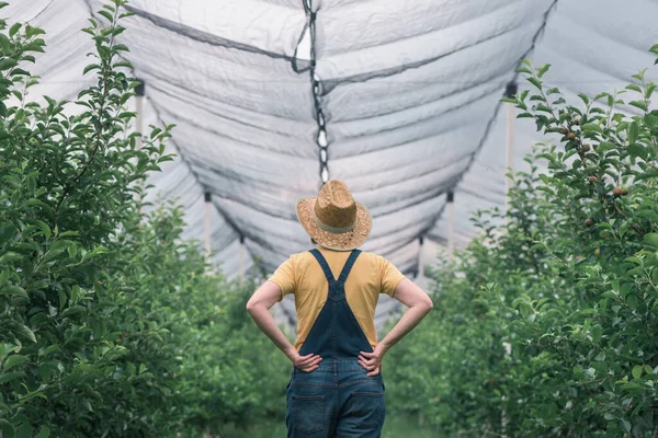 Portrét Farmářky Pózující Jablečném Ovocném Sadu Ženy Farmářské Pracovnice Slaměným — Stock fotografie