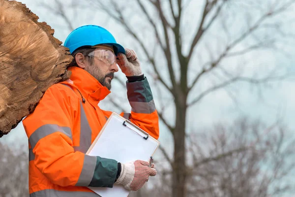 Forsttechniker Posiert Mit Klemmbrett Notizblock Neben Einem Baumstamm Wald Selbstbewusster — Stockfoto