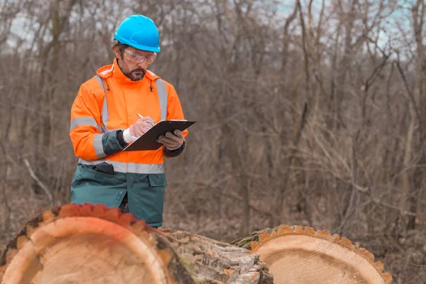 Técnico Forestal Recogiendo Notas Datos Bosque Durante Proceso Tala — Foto de Stock