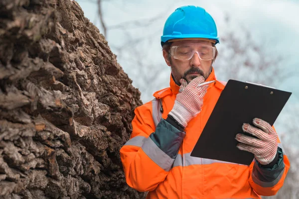 森林技術者がクリップボードノートを読む 伐採過程における森林の紙 — ストック写真